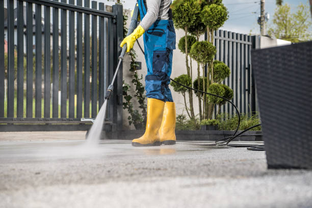 Best Building Exterior Washing  in Lake Monticello, VA